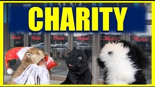 George The Self Esteem Cat Charity
