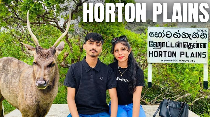 හෝර්ටන් තැන්නෙදි අපි දැක්ක ඇටකටු🍖/ Horton Plains/ World's end / Nuwaraeliya/ Travel Vlog/ Srilanka 🥰