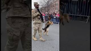 A special k9 dog in the world 🌎 😍🥰🤩❤️🔥