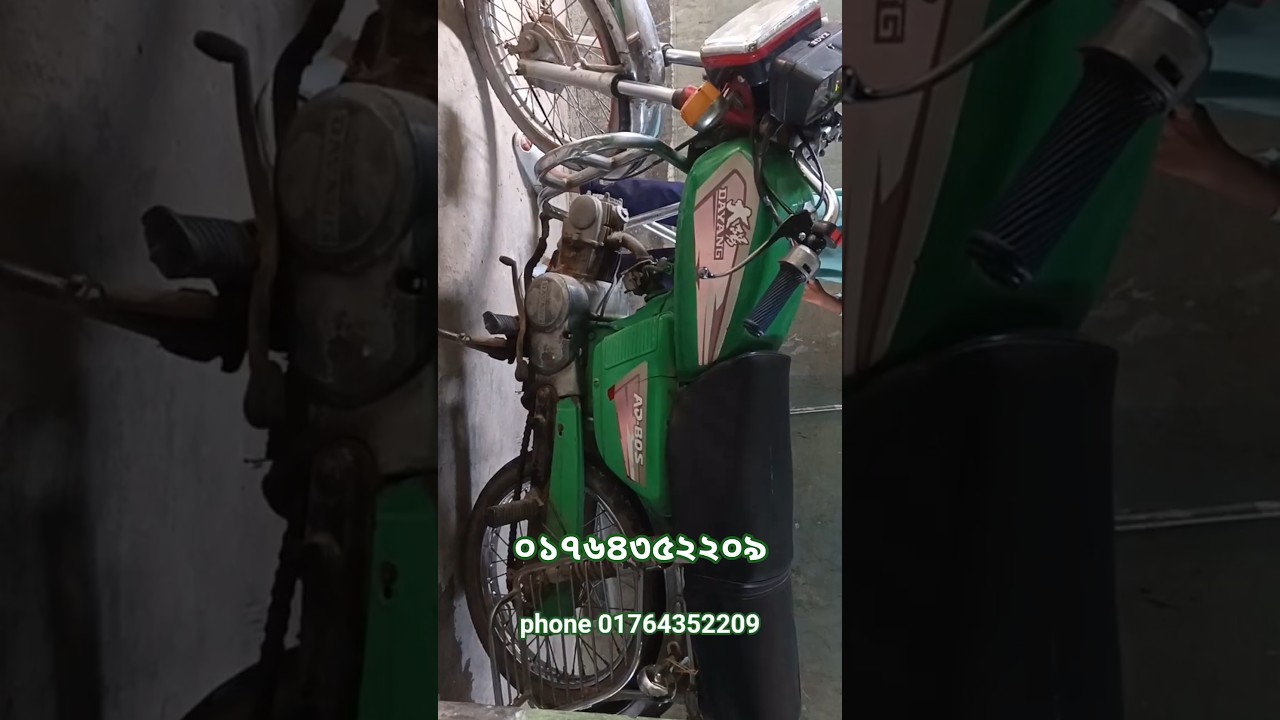 Dayun Deviser 2010 Green