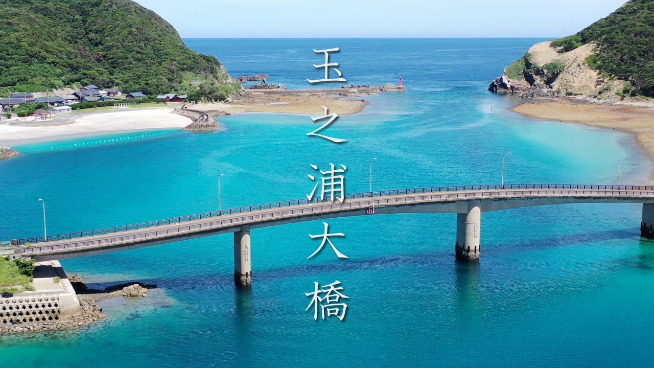 流巨木│五島列島 炊ける 