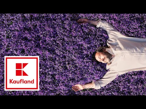 Oferta de luni Kaufland | Grădină curată - Oferta de luni Kaufland | Grădină curată
