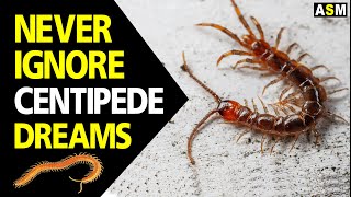 Apa arti mimpi kelabang? | Arti mimpi tentang kelabang | Tafsir mimpi kelabang