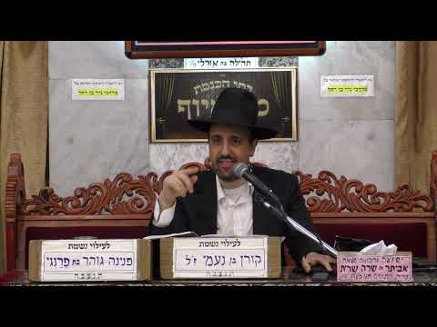 הרב מאיר אליהו | פרשת ניצבים | מוסאיוף - ה׳תשפ״ב