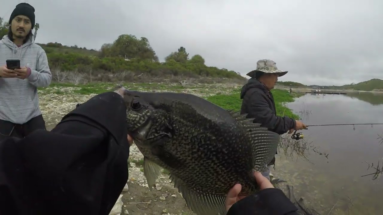 Lake San Antonio Crappie Fishing