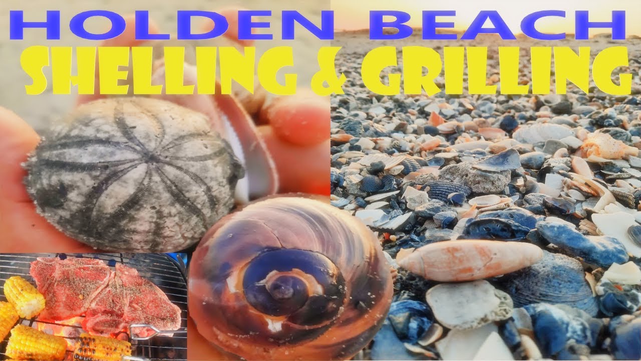 Shelling  Fossil Hunting After Beach Dredging/Renourishment Holden Beach, Nc (Shell, Sort, Grill)