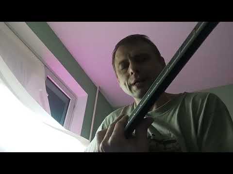 Сюзанна (кавер)