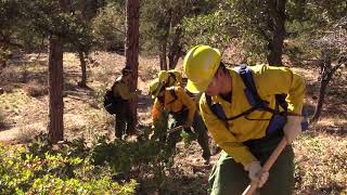Wildfire Safety