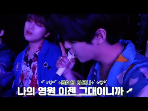 [NCT 해찬, 런쥔] 영원한 삶을 잃었대도 행복한 이유는 드림이들이 있어서야