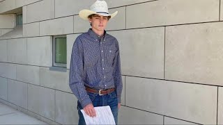 Accused Calaveras County cat killer issued restraining order from owners | Top 10