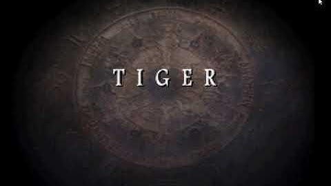 Final Fantasy Tactics - Deep Dungeon - Tiger