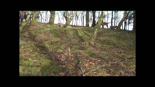 Nearly...but not quite. by Martin Webber Countryman 396 views 2 years ago 1 minute, 2 seconds