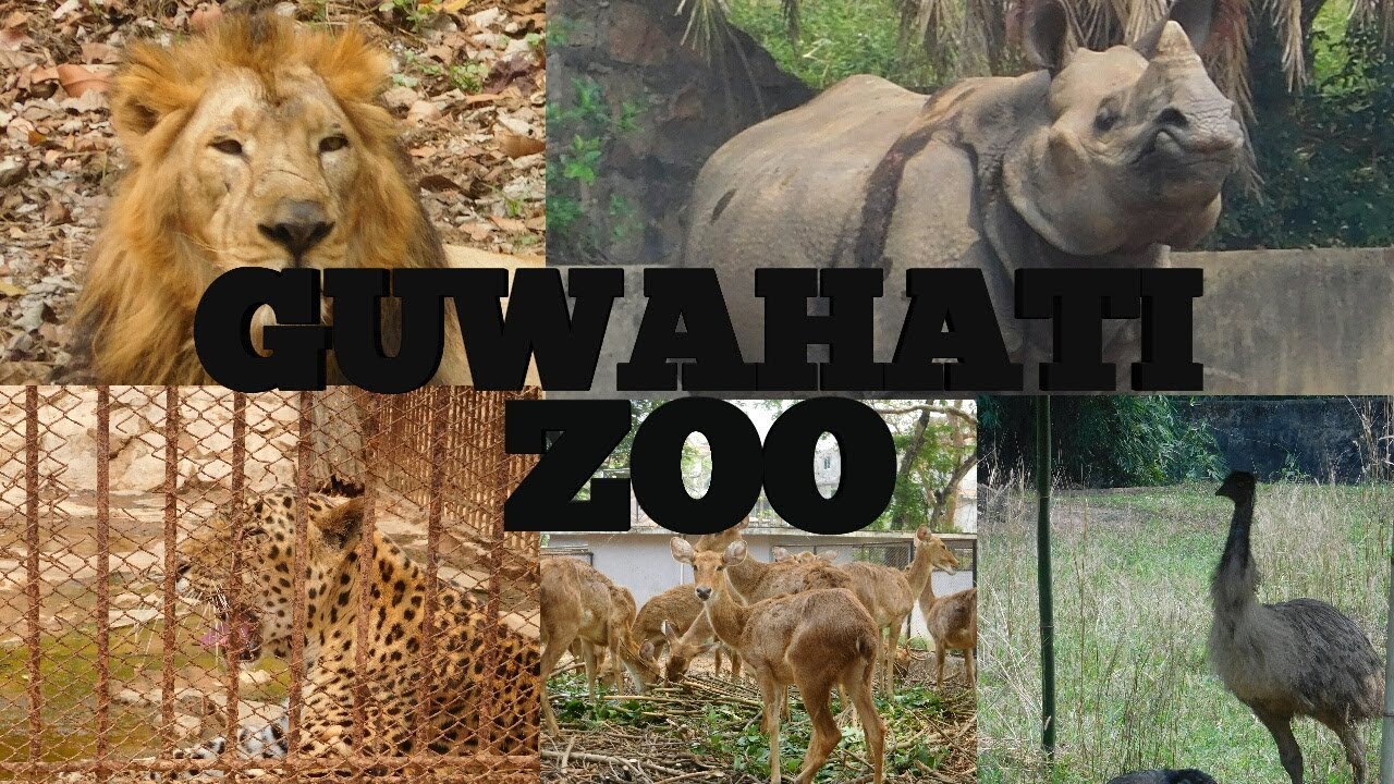 GUWAHATI ZOO The Assam State Zoo and Botanical Garden Manas Deka