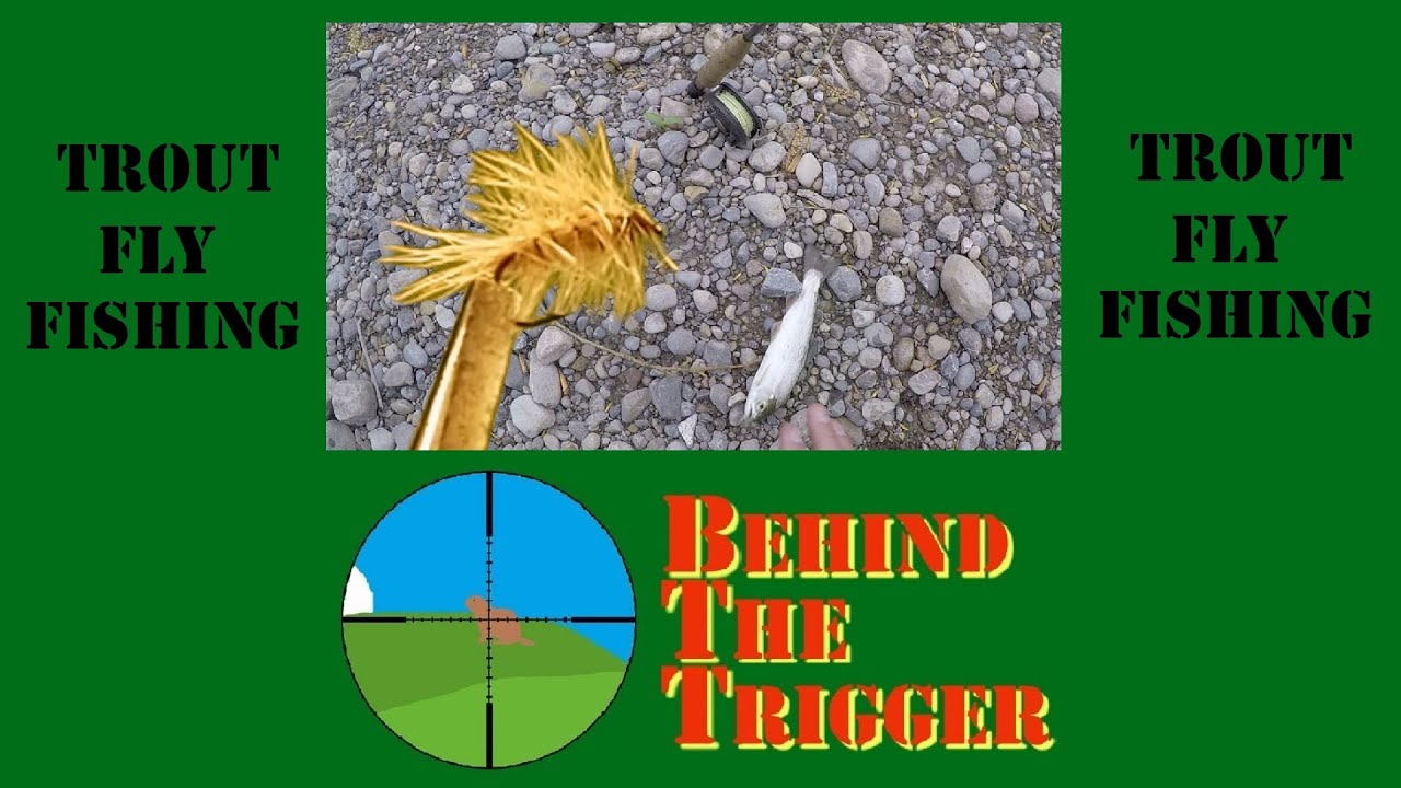 Fly Fishing Wilmot Creek... 19 Trout in 2 hours.