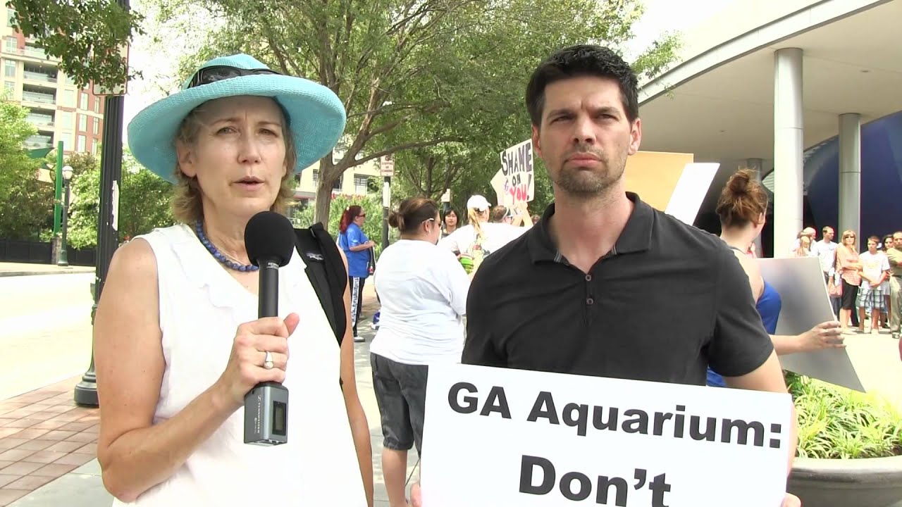 GARP GA Aquarium Protest YouTube