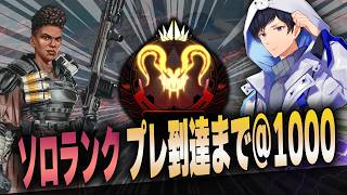 あれるの配信のサムネイル画像