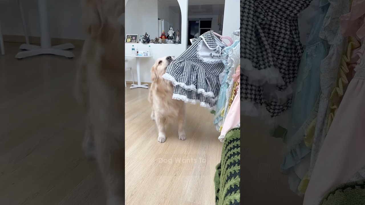 She was a princess in her previous life 😍👜