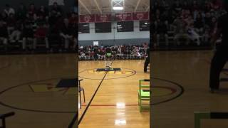 Rolla Bolla At School Show