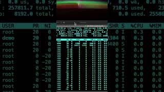 Check Memory Usage (Ubuntu 22.04) - top