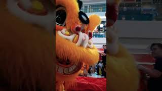 Download Lagu 21 Februari 2026 MP3