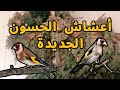 إطلالة على أعشاش الحسون (المقنين)