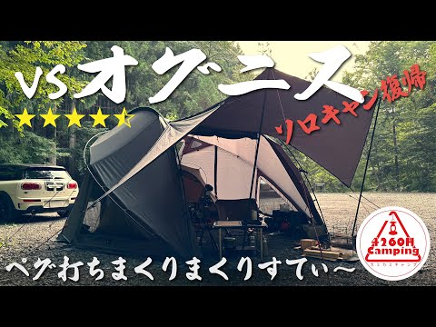 【広すぎ】ソロキャン復帰は対オグニスドーム戦！夏でも涼しい道志上流域でペグ打ちまくりまくりすてぃ〜（TOKYO CRAFTS）