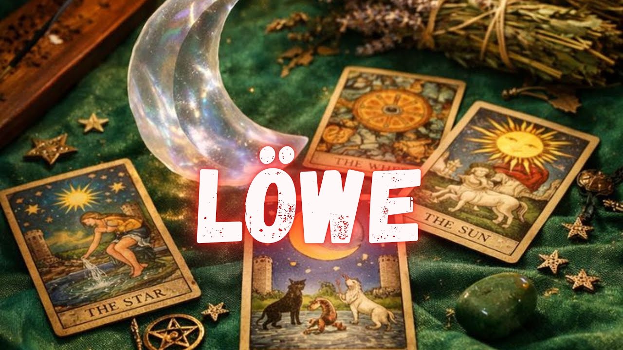 Löwe Das wird dir fast einen Herzinfarkt geben 😱Du hast KEINE verdammte Ahnung!! ❤️‍🔥😍