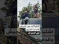 اشتباكات بين الجيش السوداني والدعم السريع في كردفان والنيل الأزرق