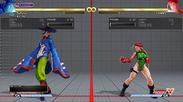 SFV AE FANG VT2 SETUP AFTER SOTOJA