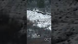 Distant Bigfoot Sighting in British Columbia