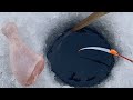БОЛОТНЫЕ МОНСТРЫ в ЭТОЙ ЛУНКЕ...Крупняк и МЯСО первого льда!   Зимняя рыбалка 2023