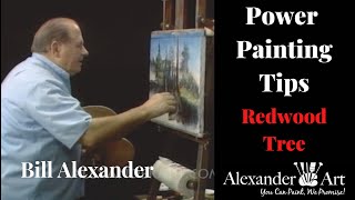 The Process of Painting a Giant Redwood Tree - Explained By Bill Alexander