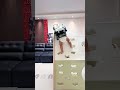 Cute Baby Diaper Fail: Can't Get Up