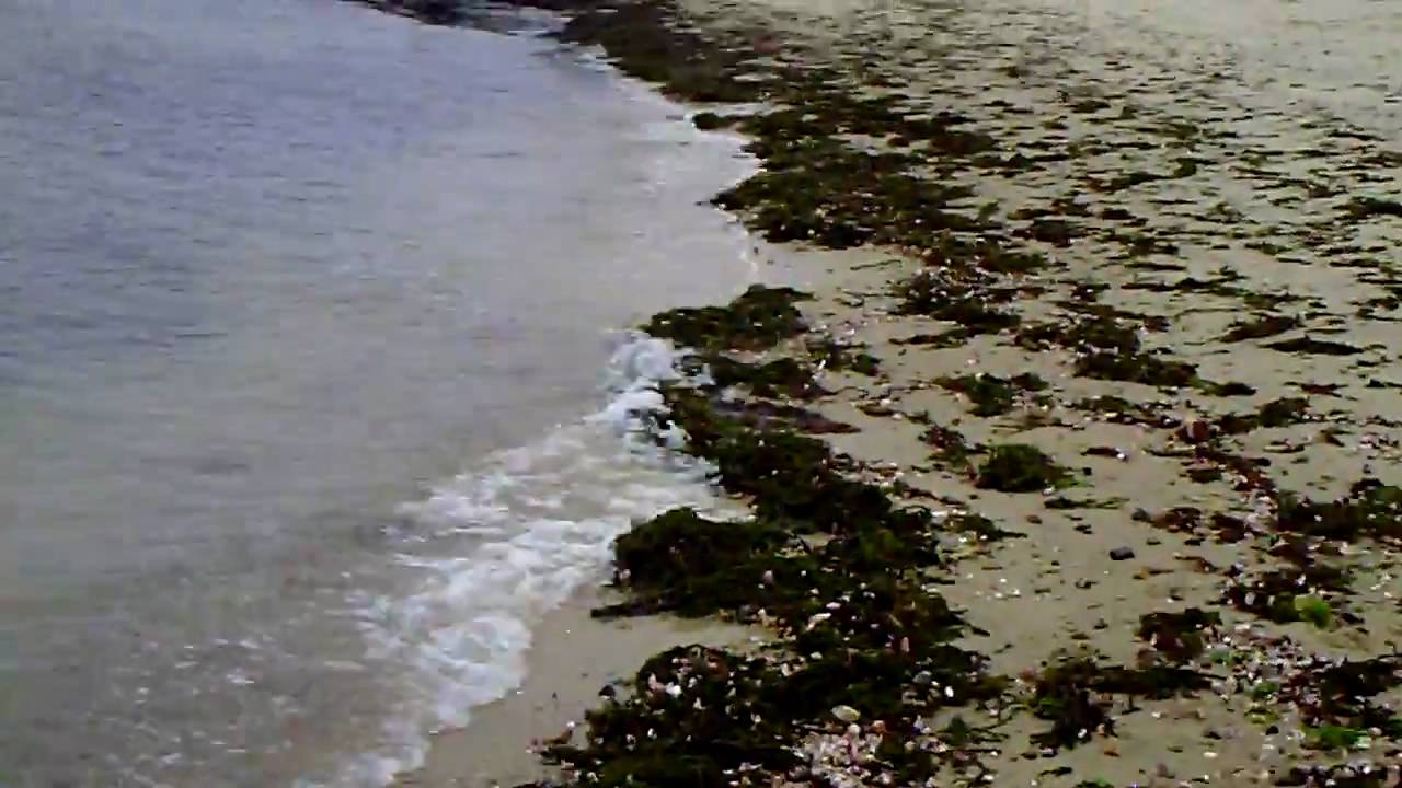 Dennisport Cape Cod Test Video 1