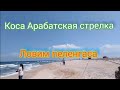 Коса Арабатская стрелка. Ловим пеленгаса.