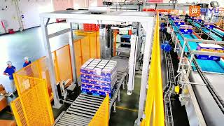 Double channel high level palletizer for Jianlibao Group's beverage production line #palletizer