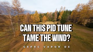 Can this PID tune tame the wind GEPRC Vapor D5 Autumn Flight (Oscar Liang Tune)
