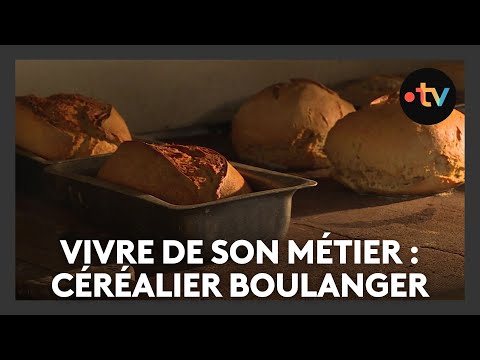 Miniature de la vidéo Vivre de son métier : céréalier boulanger