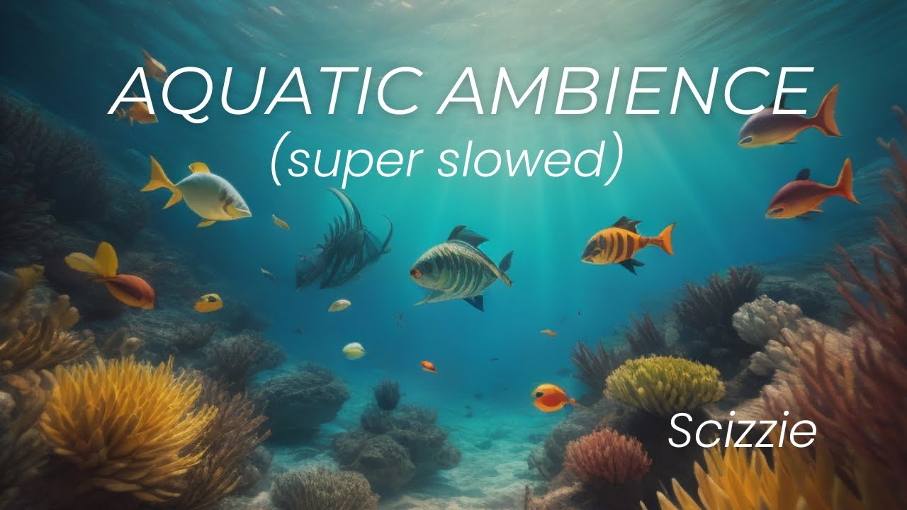 Aquatic Ambience - Scizzie (super slowed) - YouTube