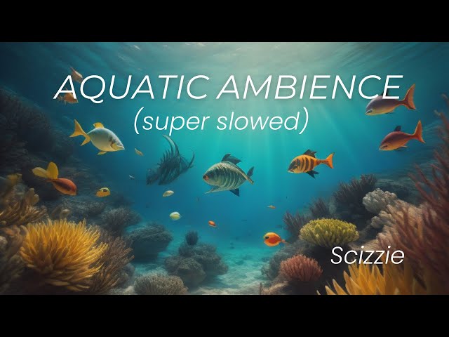 Aquatic Ambience - Scizzie (super slowed)