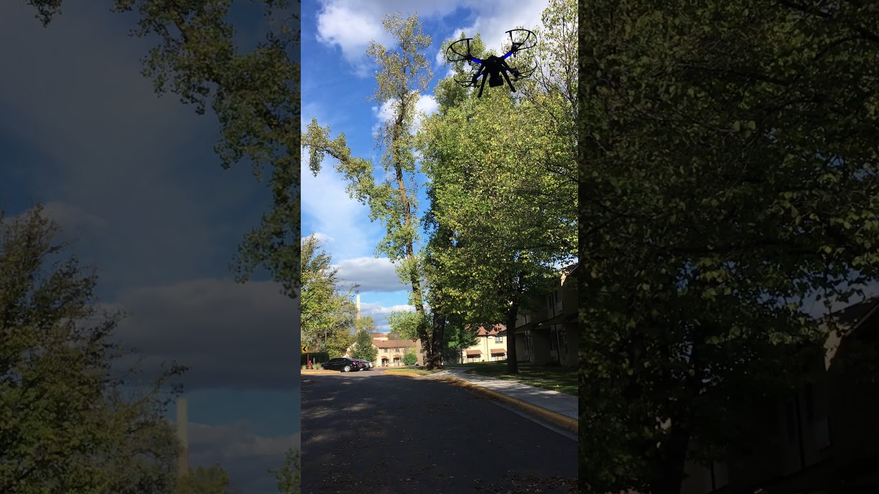 DROCON Brushless Motors Drone Bugs 3