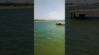 New Updated Slingshot Fishing Reel Set is coming! Free for shipping on sale. Visit our Shopify store