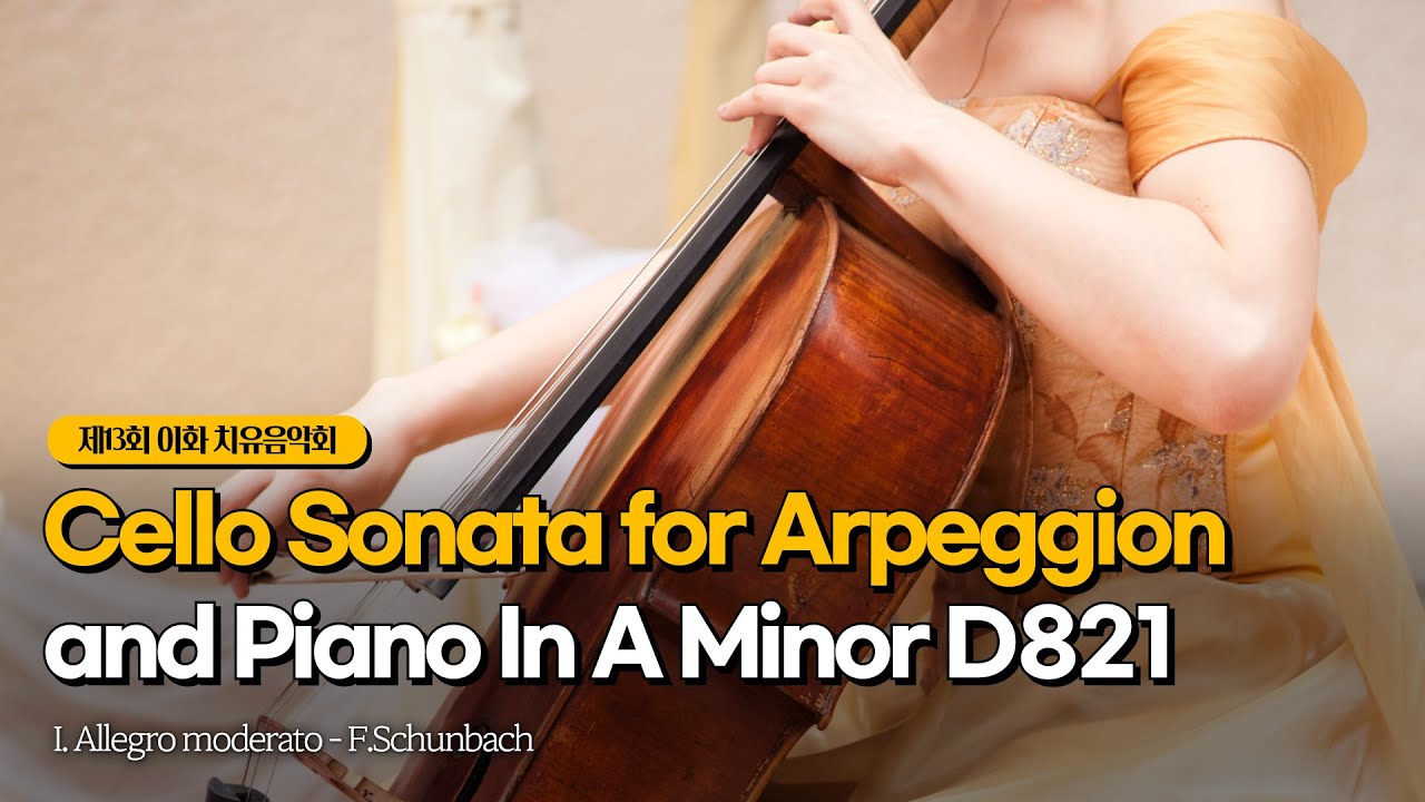 Cello Sonata for Arpeggion and Piano In A Minor D821 : I. Allegro ...