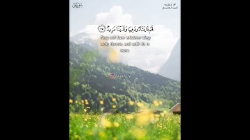 القارئ انس الغامدي - سورة ق - من الآية 31 الى الآية 35