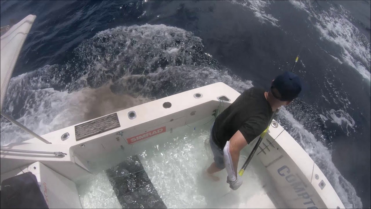 Compton fishing off Newcastle 2 days - YouTube