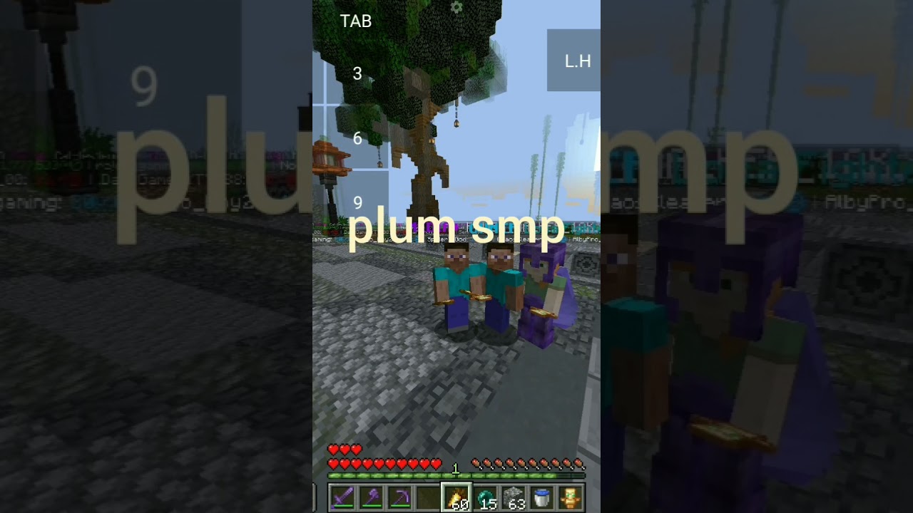 plum smp best server