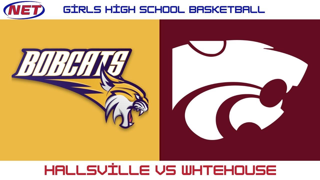 HS Boys Basketball: Hallsville vs Whitehouse — NETsn Live YouTube video