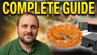 Details Corn Snake Care Guide 2026 | Complete Care Guide for Corn Snakes Guide