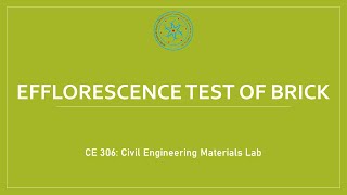 Brick Efflorescence Test