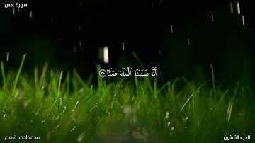سورة عبس تلاوة كاملة - محمد احمد قاسم